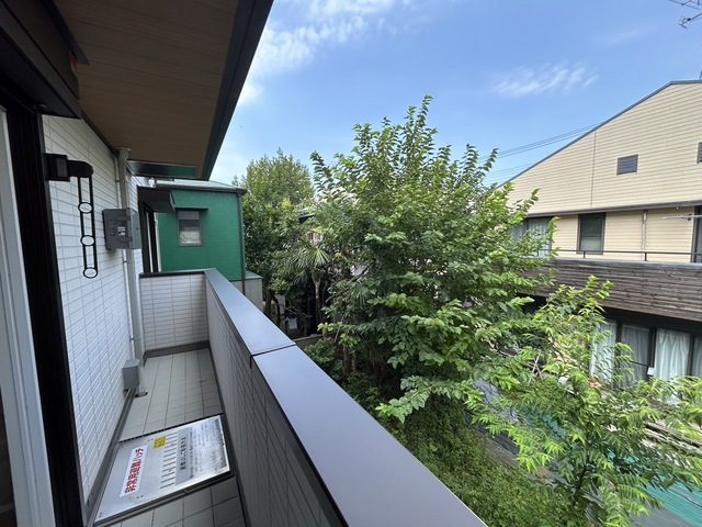 眺望